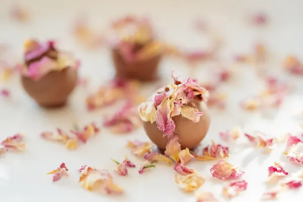 Bet9 Casino Android/iOS App